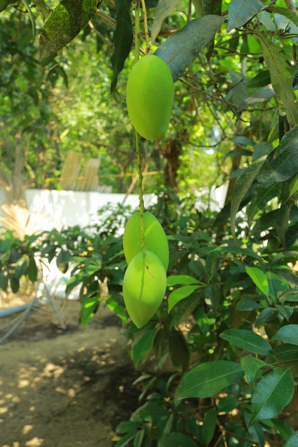 Marari Coastal Dreams Home Stay Alappuzha 外观 照片