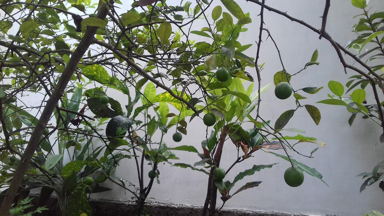 Marari Coastal Dreams Home Stay Alappuzha 外观 照片