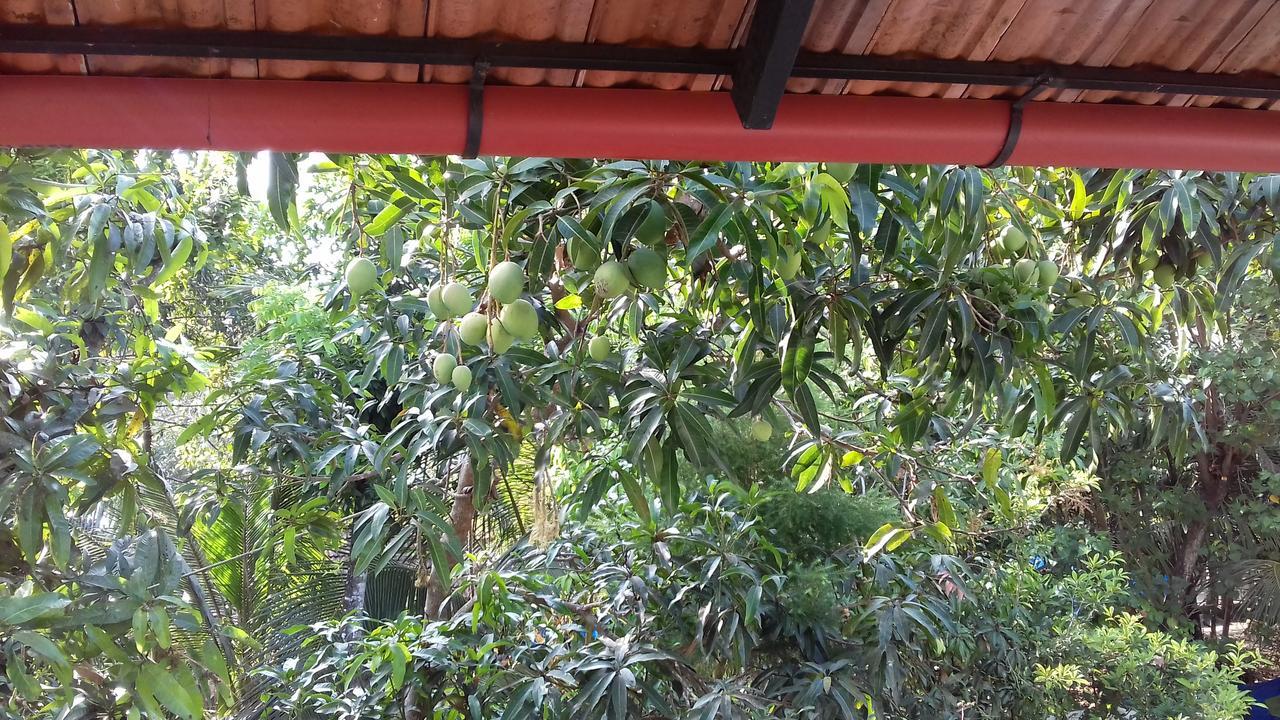 Marari Coastal Dreams Home Stay Alappuzha 外观 照片
